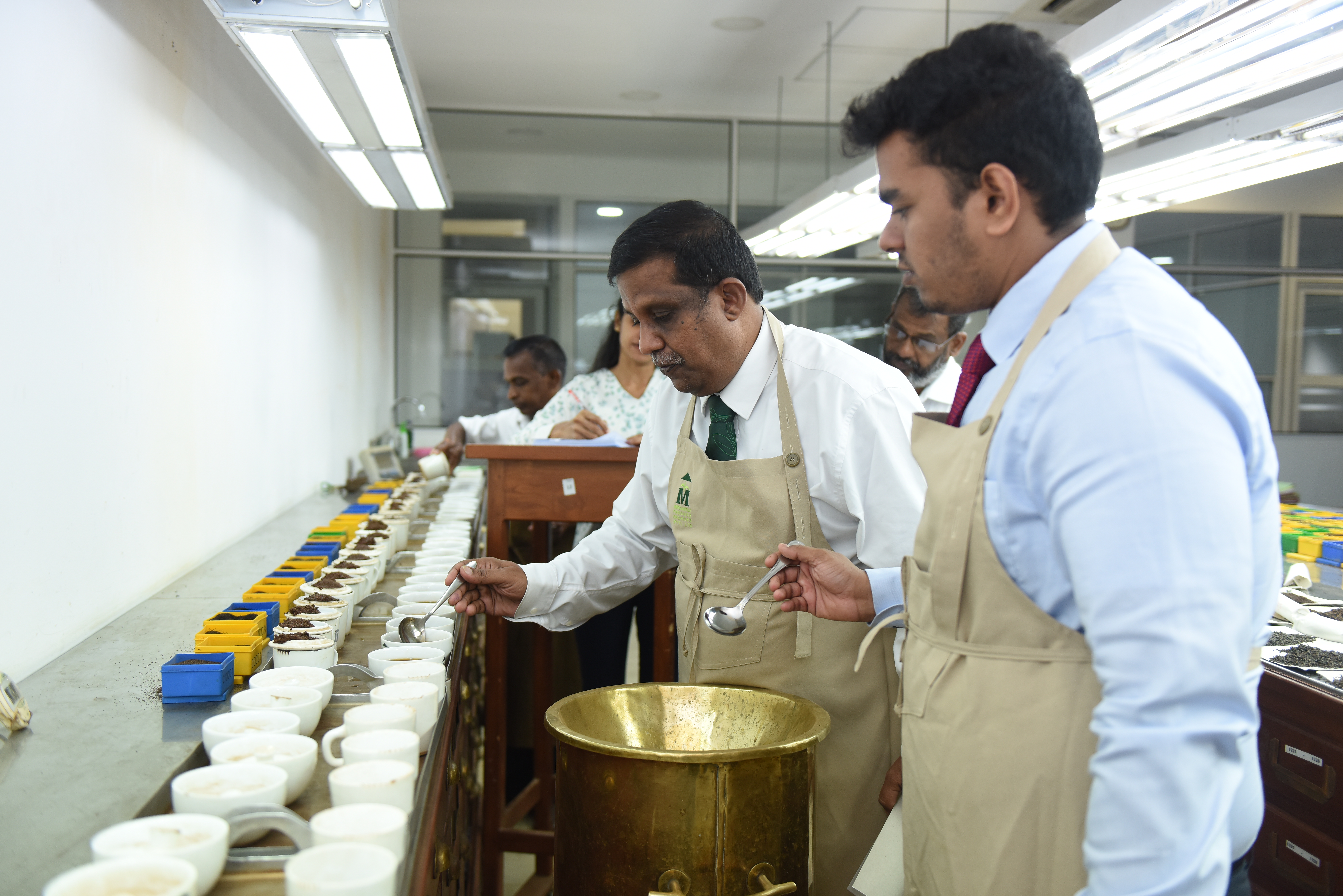 Tea Consultation
