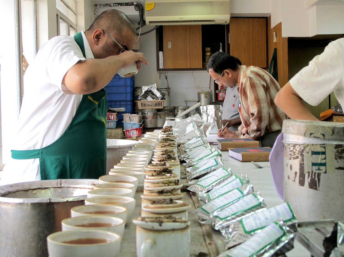 Training on Tea Tasting