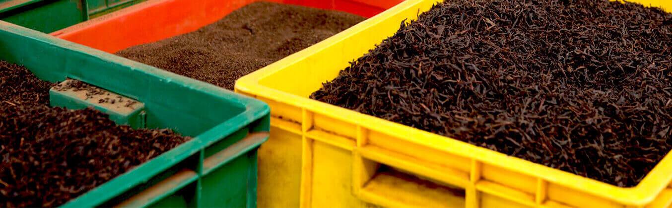 Findout more about advice on tea manufacturing Findout more about advice on tea manufacturing