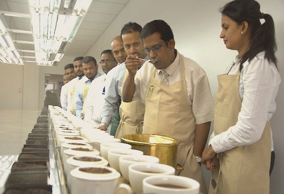 Findout more about training on tea tasting Findout more about training on tea tasting