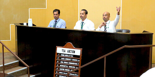 Find out more about Tea Brokering Find out more about Tea Brokering
